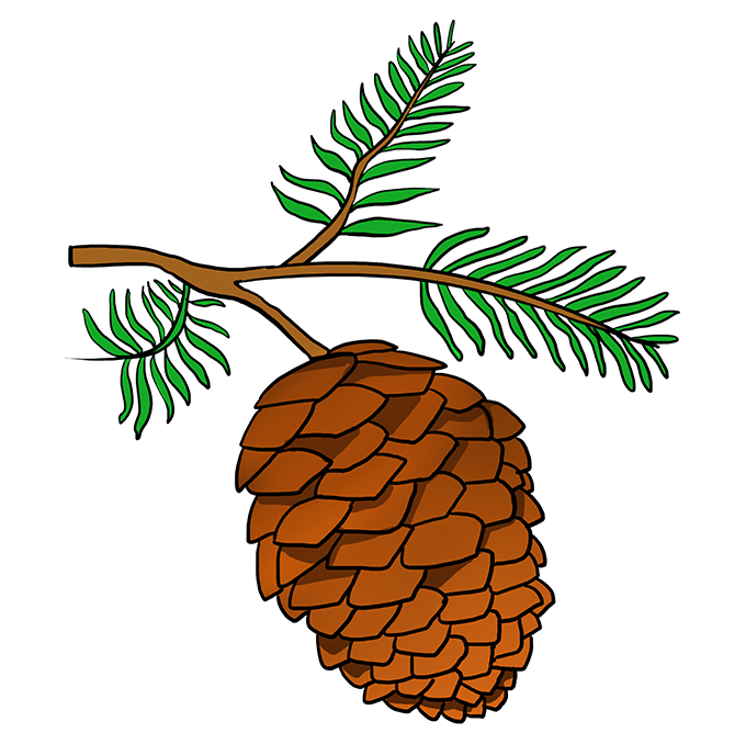 Cách vẽ Pinecone: Bước 10