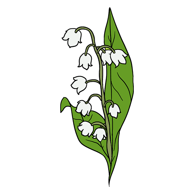 Cách vẽ Lily of the Valley: Bước 10