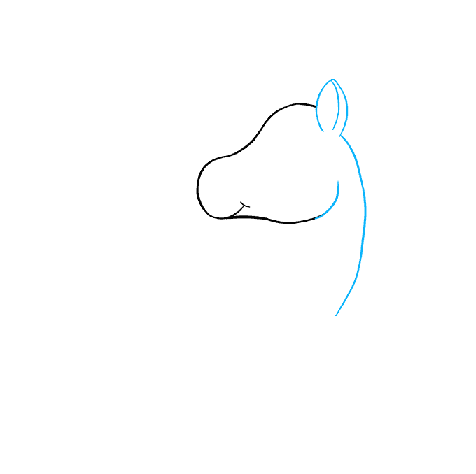 Cách vẽ Chibi Unicorn: Bước 3