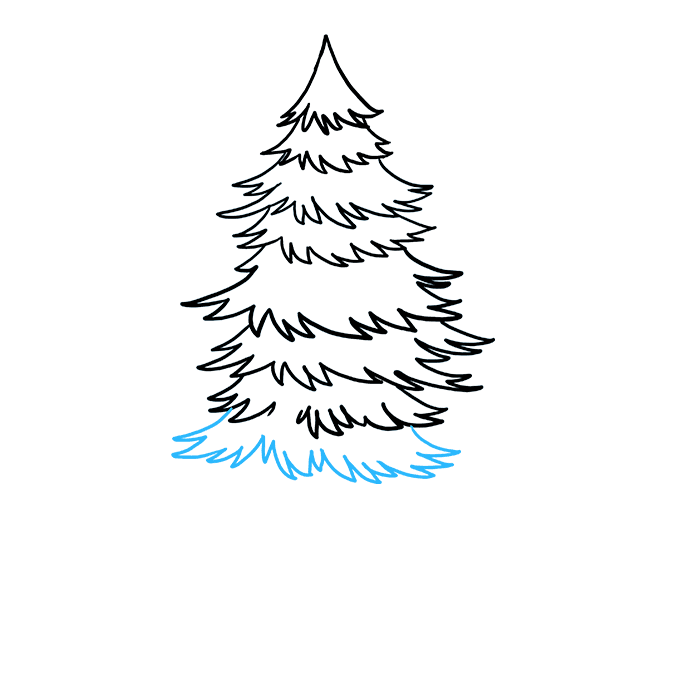 Cách vẽ Spruce: Bước 7