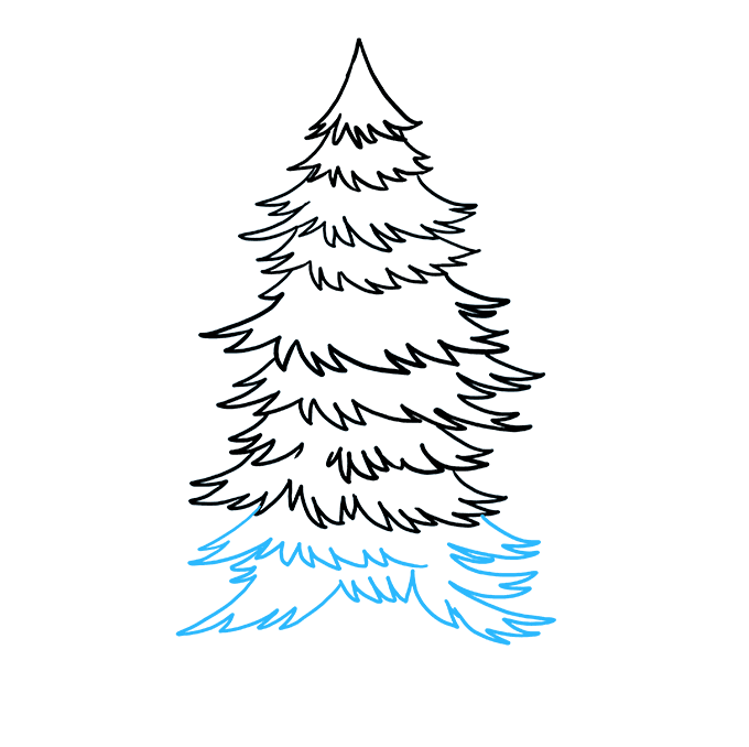 Cách vẽ Spruce: Bước 8