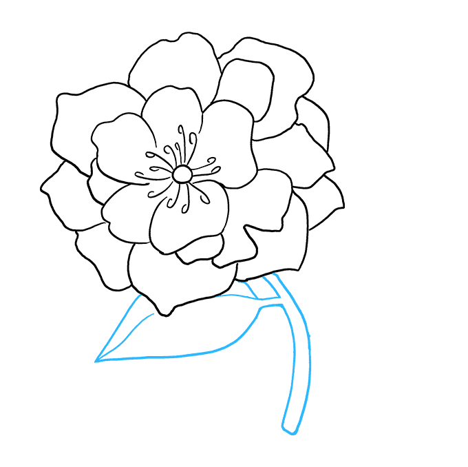Cách vẽ hoa mẫu đơn: Bước 7