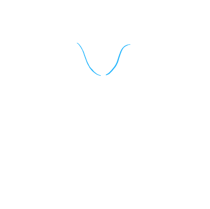 Cách vẽ hoa lan: Bước 1