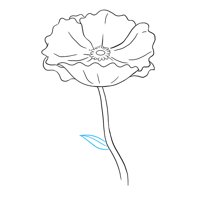 Cách vẽ Poppy: Bước 8