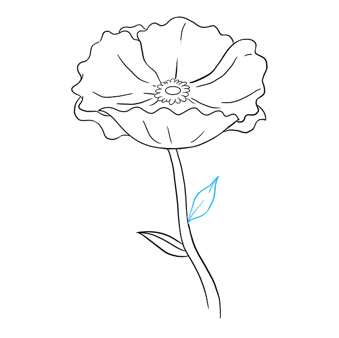 Cách vẽ Poppy: Bước 9