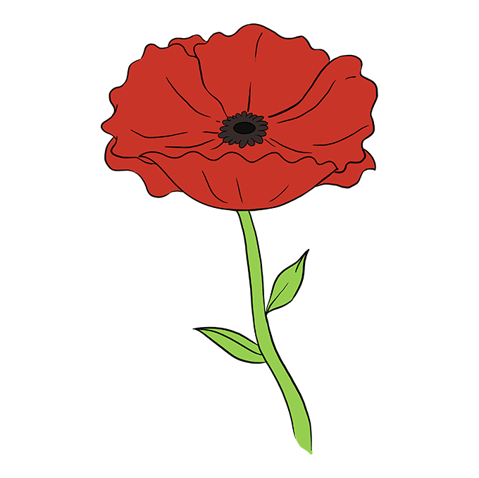 Cách vẽ Poppy: Bước 10