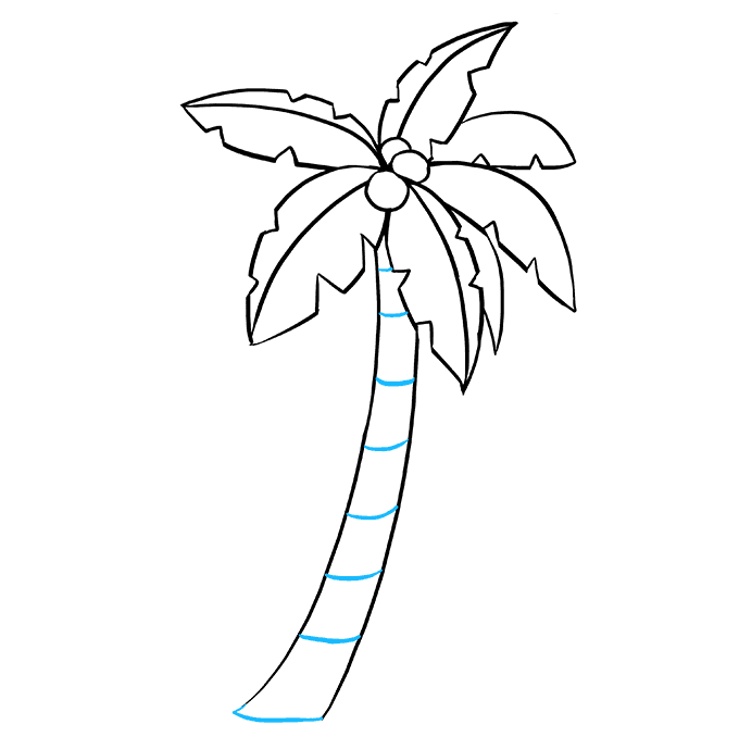 Cách vẽ cây cọ: Bước 9