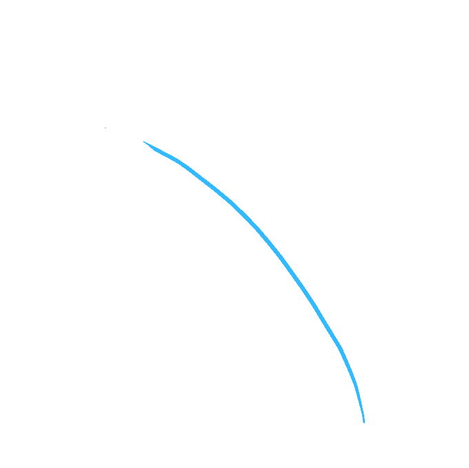 Cách vẽ Fall Oak: Bước 1