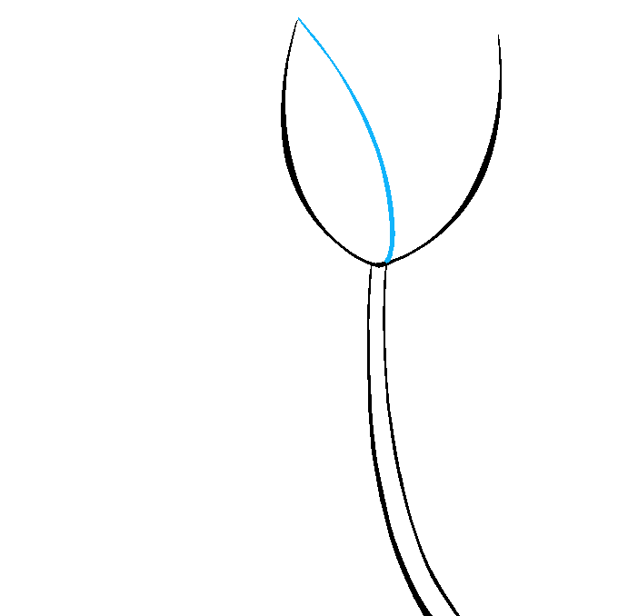 Cách vẽ hoa tulip: Bước 3