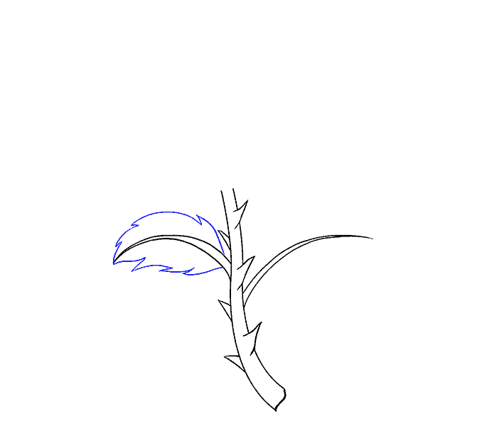 Cách vẽ hoa hồng bằng thân cây: Bước 8
