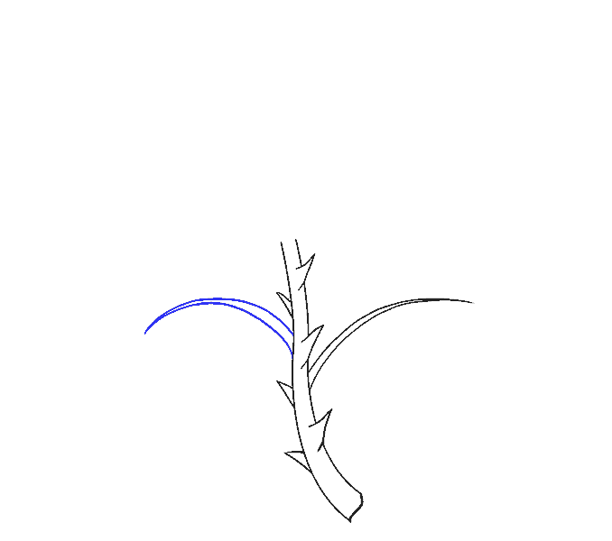Cách vẽ hoa hồng bằng thân cây: Bước 7