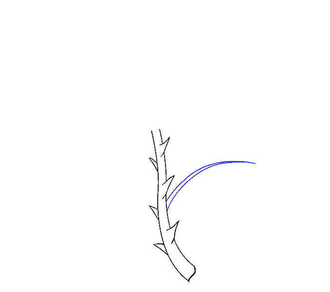Cách vẽ hoa hồng bằng thân cây: Bước 6