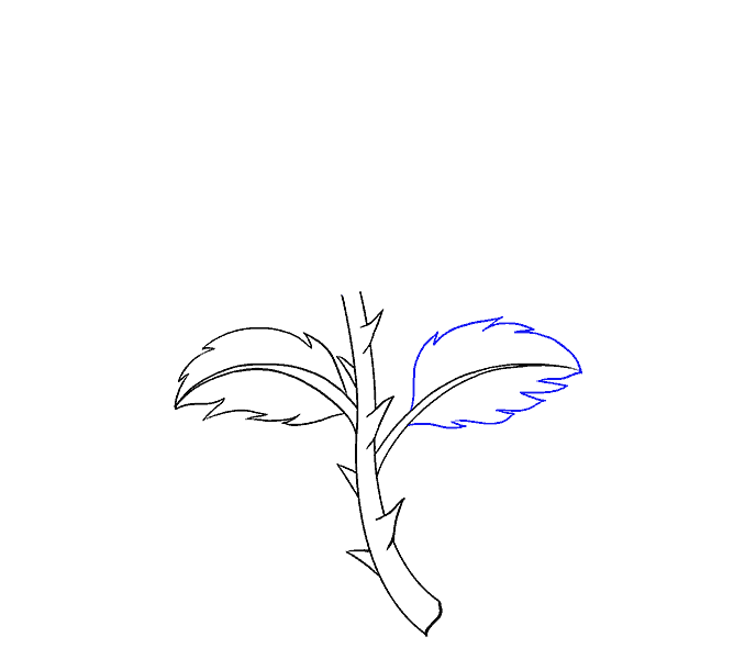 Cách vẽ hoa hồng bằng thân cây: Bước 9