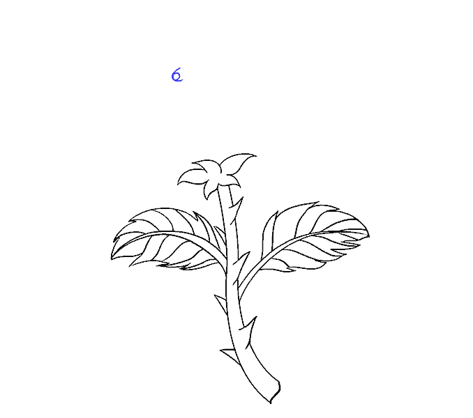 Cách vẽ hoa hồng bằng thân cây: Bước 12