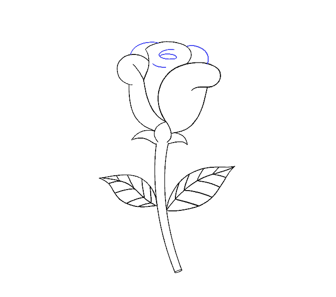 Cách vẽ hoa hồng đơn giản: Bước 19