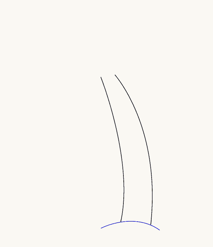 Cách vẽ cây cọ: Bước 3