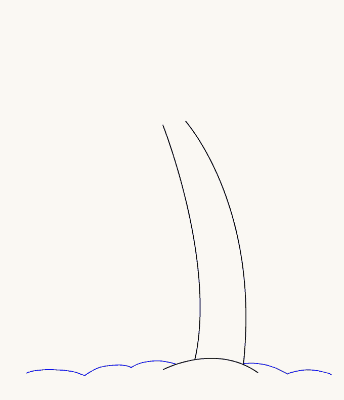 Cách vẽ cây cọ: Bước 4