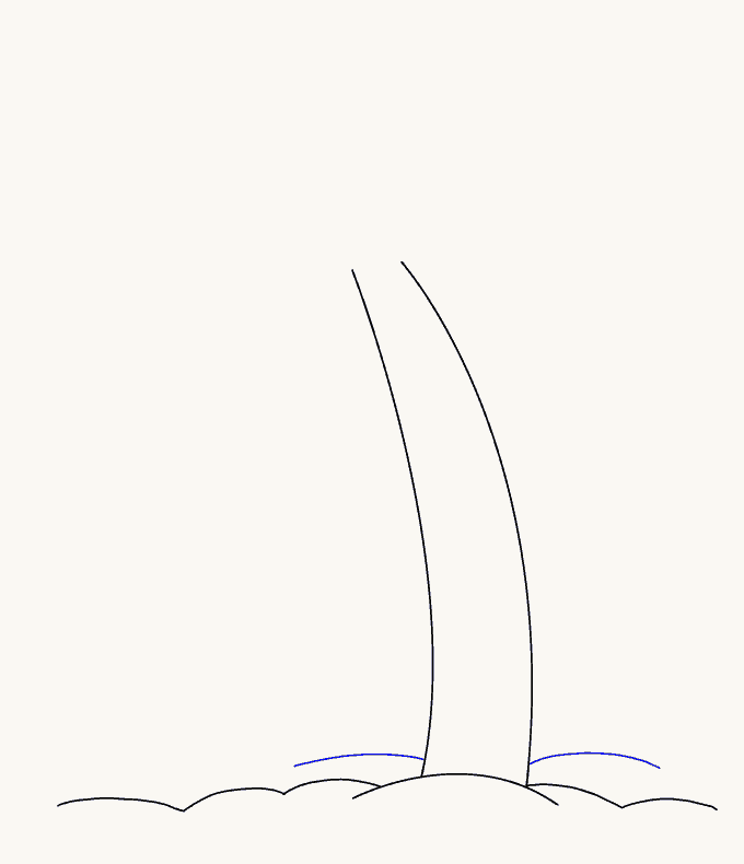 Cách vẽ cây cọ: Bước 5