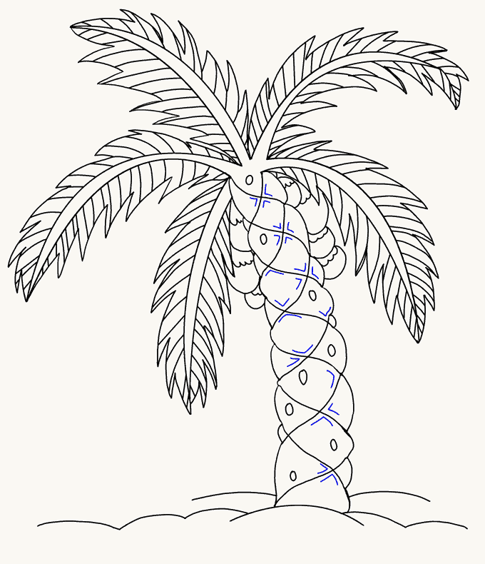 Cách vẽ cây cọ: Bước 19