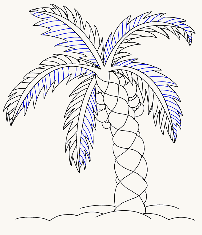 Cách vẽ cây cọ: Bước 17