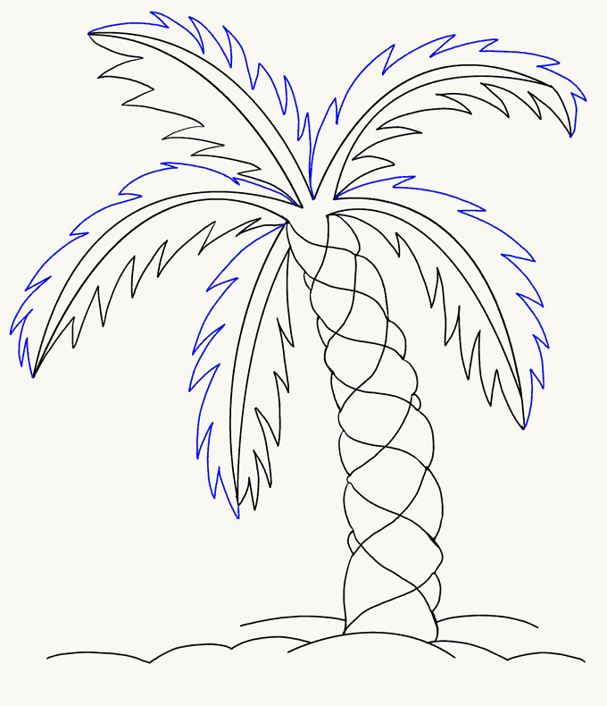 Cách vẽ cây cọ: Bước 14