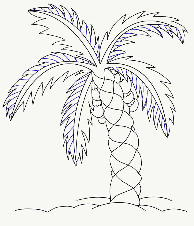 Cách vẽ cây cọ: Bước 16