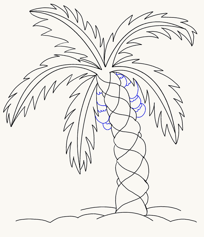 Cách vẽ cây cọ: Bước 15