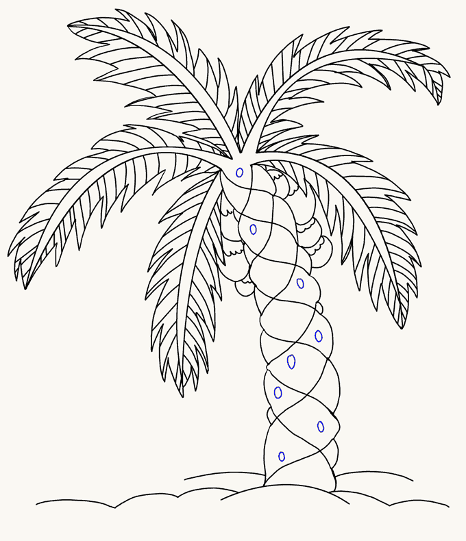 Cách vẽ cây cọ: Bước 18
