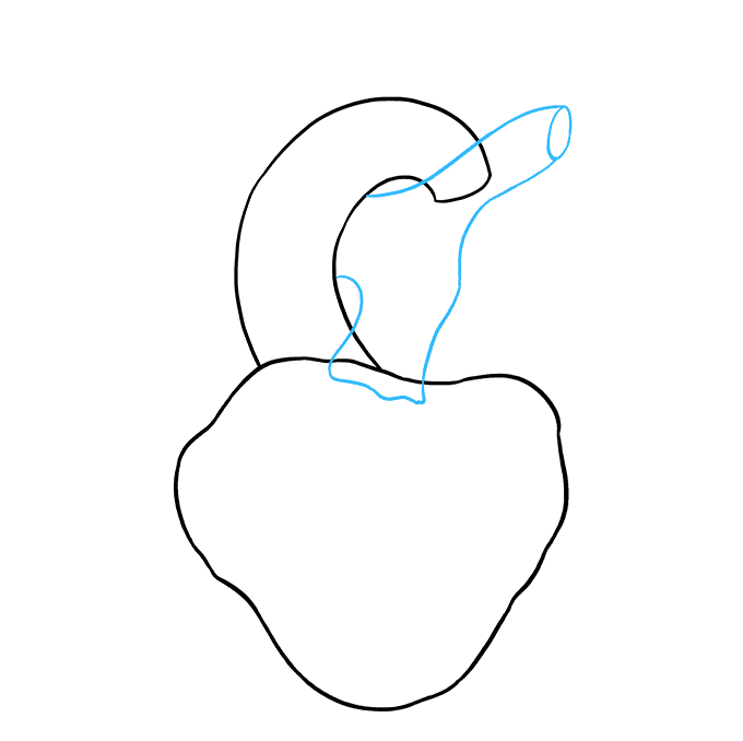 Cách vẽ trái tim con người: Bước 3