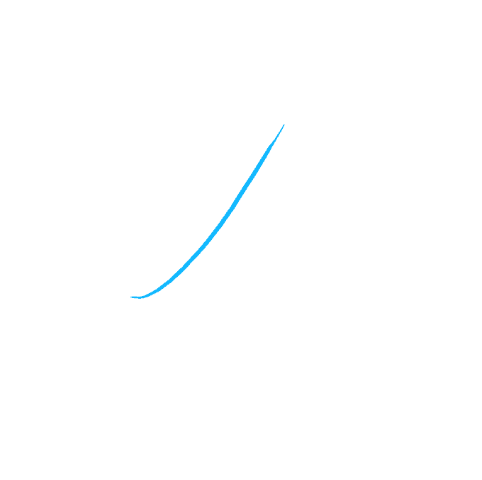 Cách vẽ xương chó: Bước 1