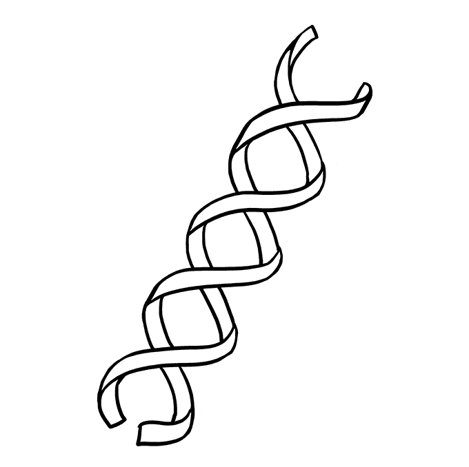 Cách vẽ DNA: Bước 5