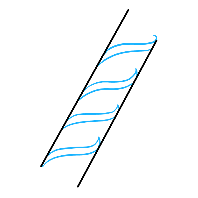 Cách vẽ DNA: Bước 2