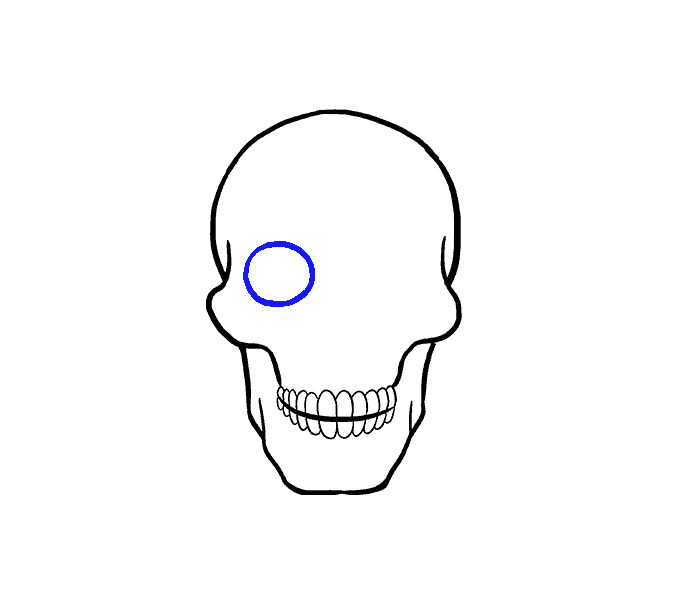 Cách vẽ hộp sọ: Bước 11