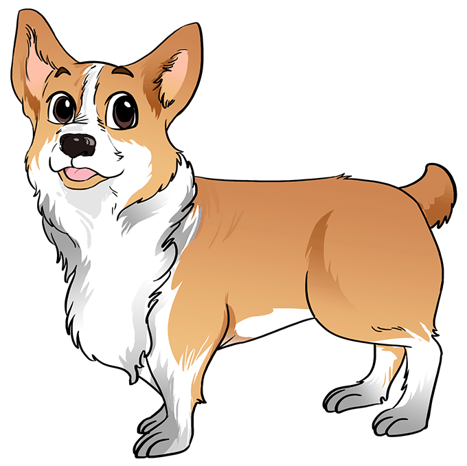 Cách vẽ Corgi: Bước 10