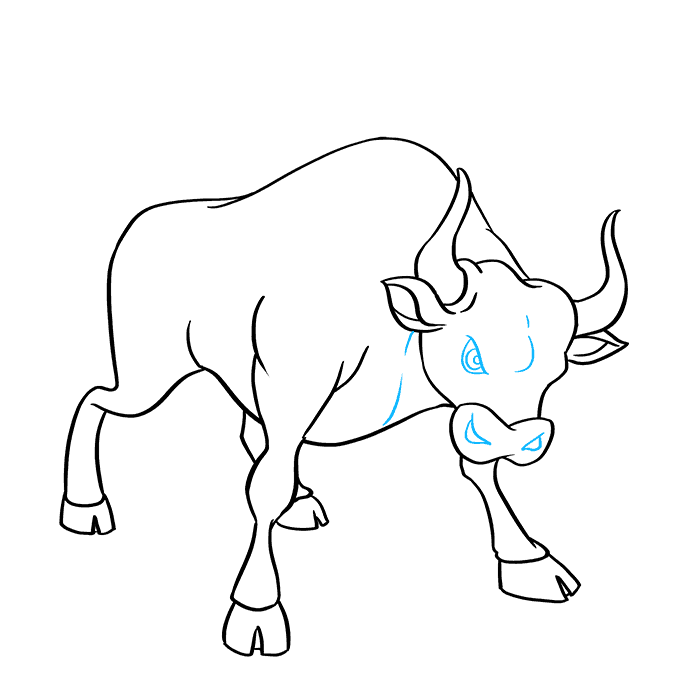 Cách vẽ Bull: Bước 8