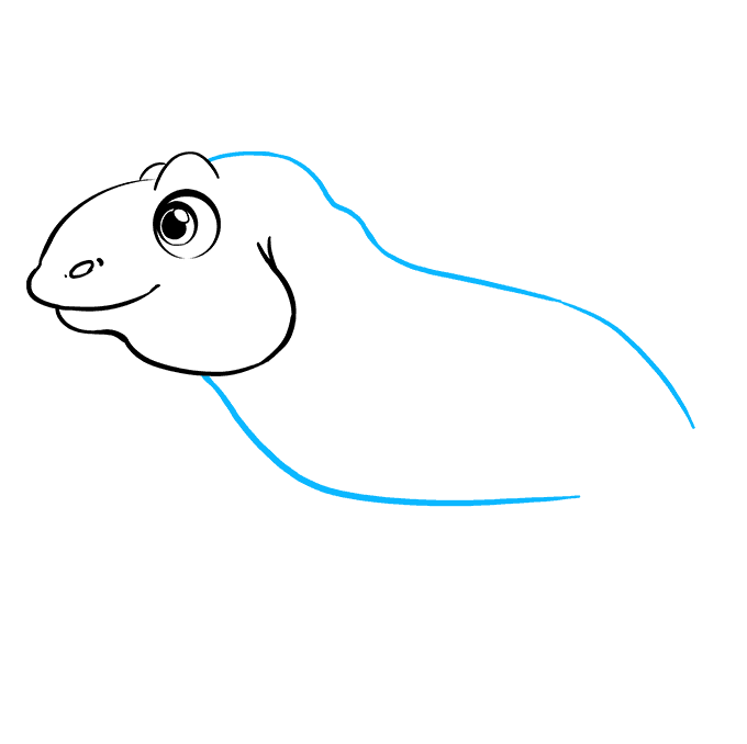 Cách vẽ Iguana: Bước 5