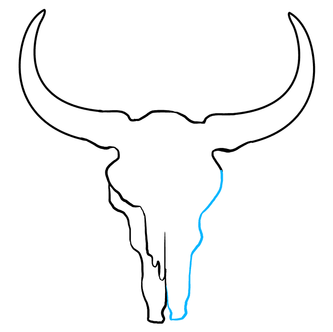 Cách vẽ Bull Skull: Bước 1