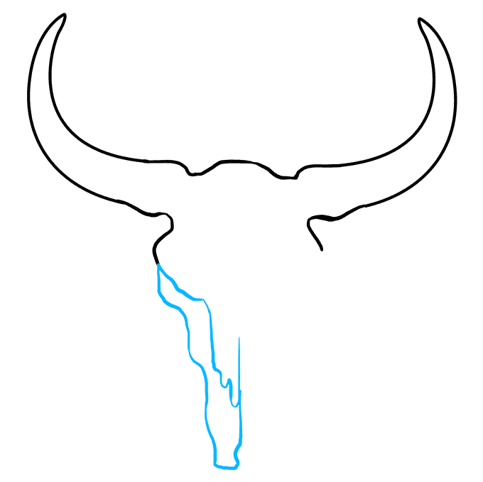 Cách vẽ Bull Skull: Bước 4