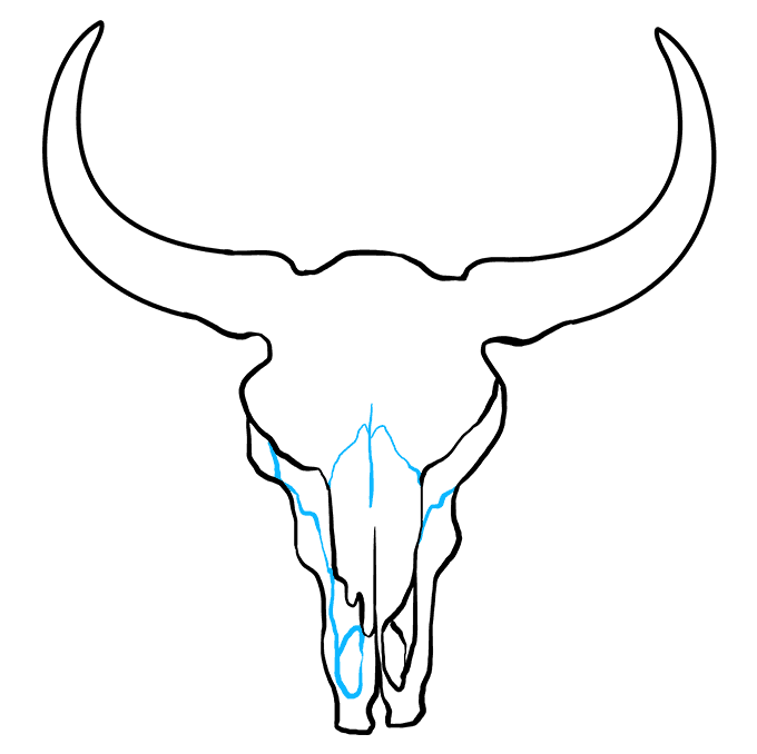 Cách vẽ Bull Skull: Bước 7