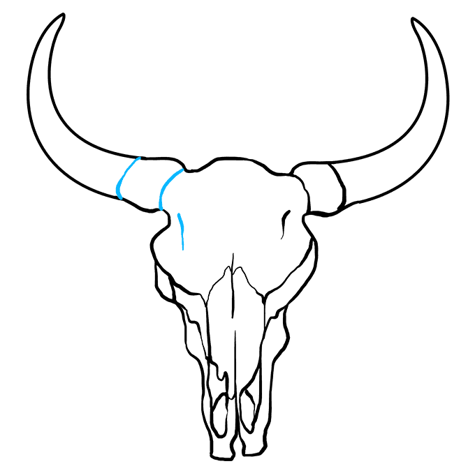 Cách vẽ Bull Skull: Bước 9