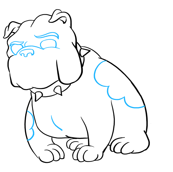 Cách vẽ Bulldog: Bước 8