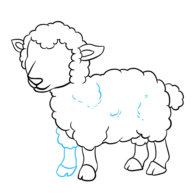 Cách vẽ Lamb: Bước 8