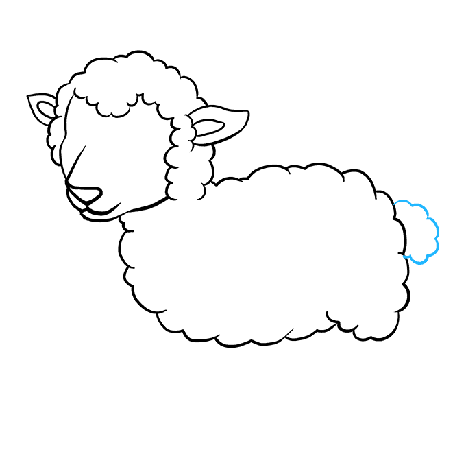 Cách vẽ Lamb: Bước 5