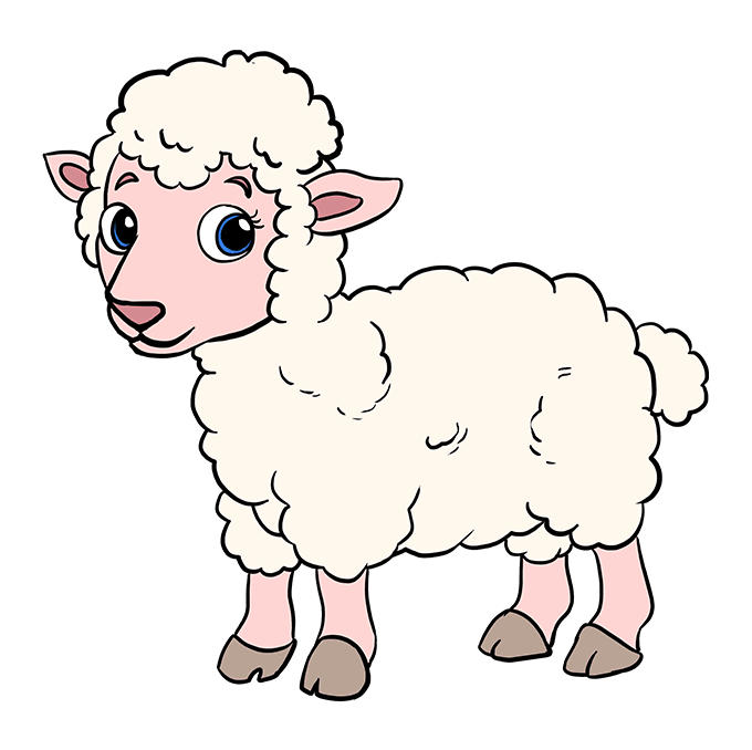 Cách vẽ Lamb: Bước 10