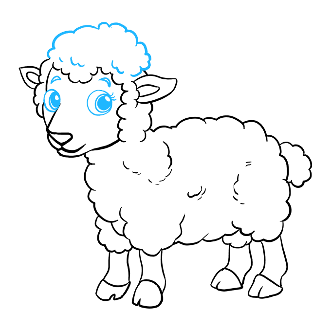 Cách vẽ Lamb: Bước 9