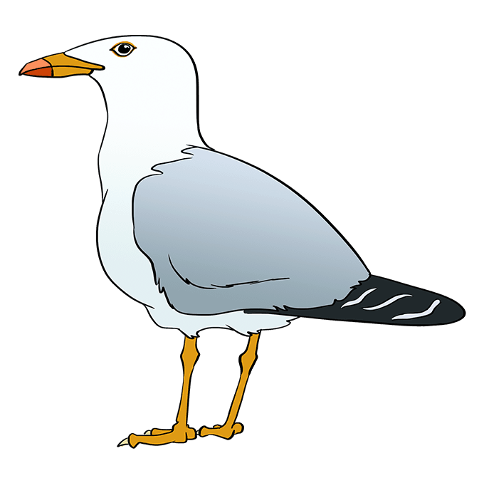 Cách vẽ Seagull: Bước 10