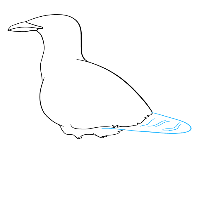 Cách vẽ Seagull: Bước 5