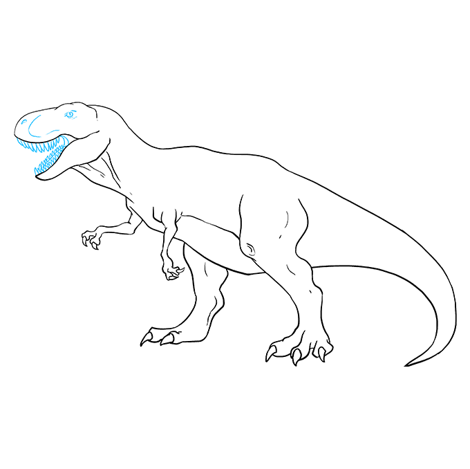 Cách vẽ Tyrannosaurus Rex: Bước 9