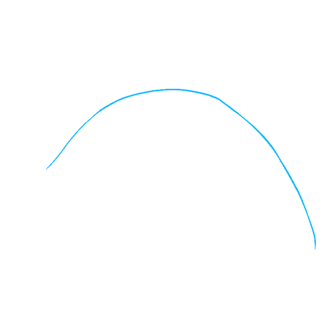 Cách vẽ Orca: Bước 1