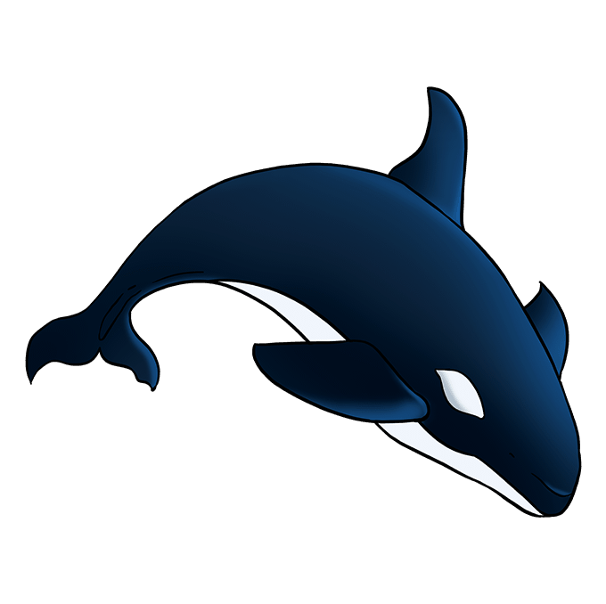 Cách vẽ Orca: Bước 10